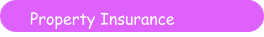 Property Insurance